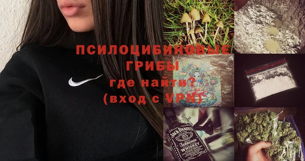 дурь Семёнов