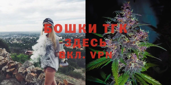 МДПВ Нефтегорск