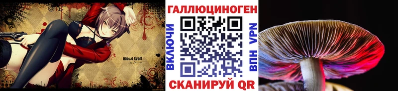 МЕГА ССЫЛКА  купить  сайты  Камбарка  Галлюциногенные грибы Magic Shrooms 